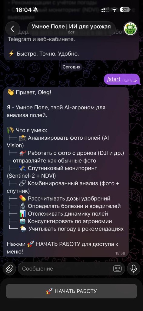 Экран приветствия и главное меню бота после нажатия «Запустить». 1