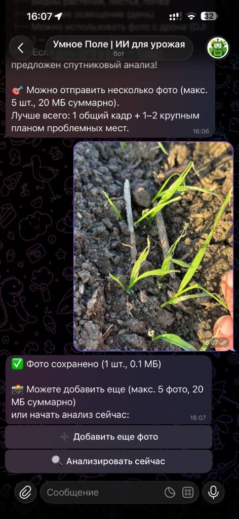 Выбор культуры и отправка фото. Можно добавить несколько снимков перед анализом. 2